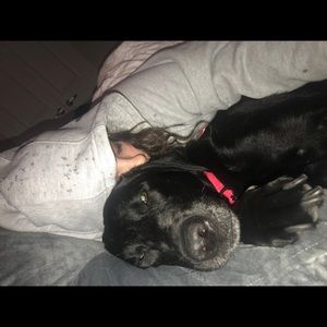 Meet your Posher, Alex